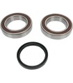 CHAINCASE BEARING-SEAL KT