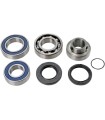 CHAINCASE BEARING-SEAL KT