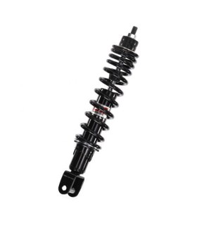 RR SHOCK PIA GIL APR