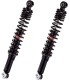 RR SHOCK PIA X7 X8 X-EVO