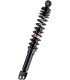 RR SHOCK HONDA