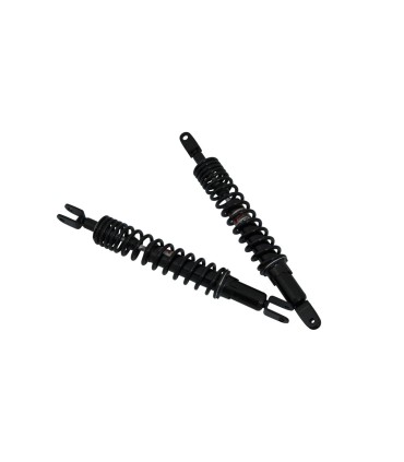 RR TWINSHOCK YAM MAJESTY4