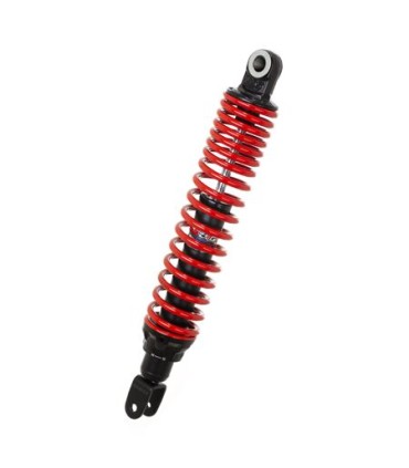 RR TSHK SYM CITYCOM 300I