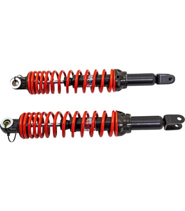 RR TSHK SYM/GTS 300i 13-17