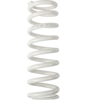 SHOCK SPRING WP 60