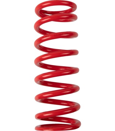 SHOCH SPRING SHOWA 54