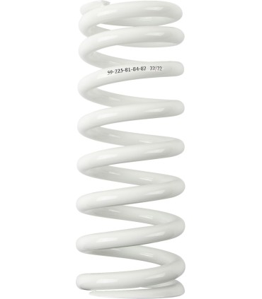 SHOCK SPRING WP 818487