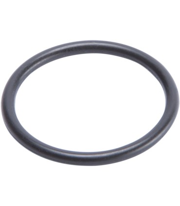 O RING COMP ADJUSTER PIST