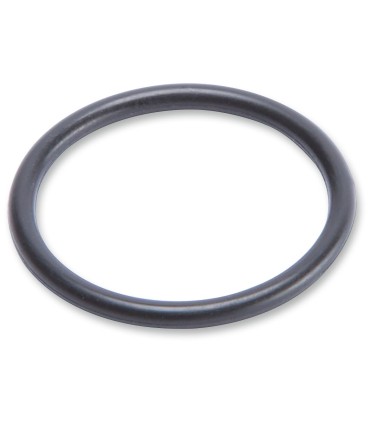 O RING COMP ADJUSTER PIST