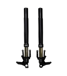 FRONT FORK CUST 48 BLK CVO RG/