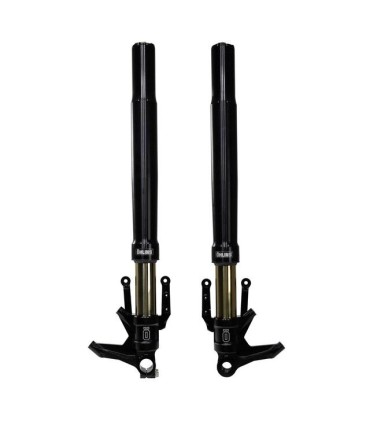 FRONT FORK CUST 48 BLK CVO RG/