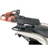 CHAINSAW HOLDER MOOSE