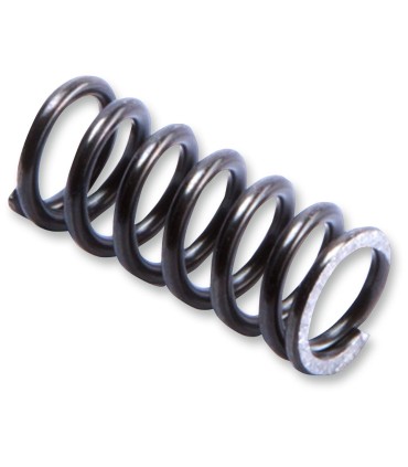 SPRG IN RBND PIST ROD FF