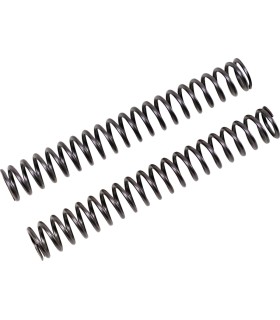 FF SPRING KIT 25.5/260/9.5