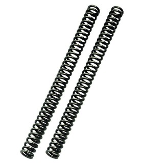 FF SPRING KIT 38.2/423/3.2