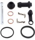 REBUILD KT CALIPER KTM RR