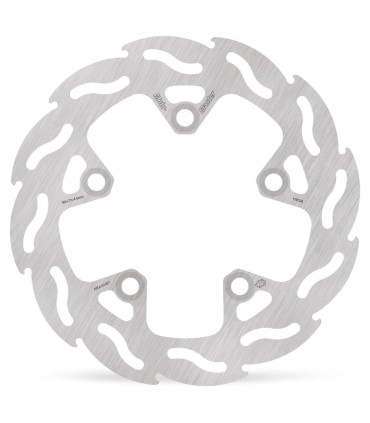 BRAKE DISC FLAME REAR