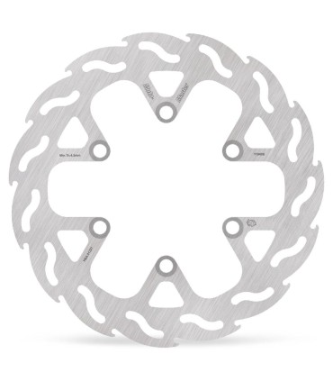 BRAKE DISC FLAME REAR