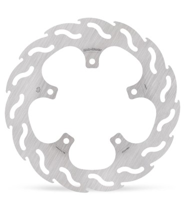 BRAKE DISC FLAME REAR