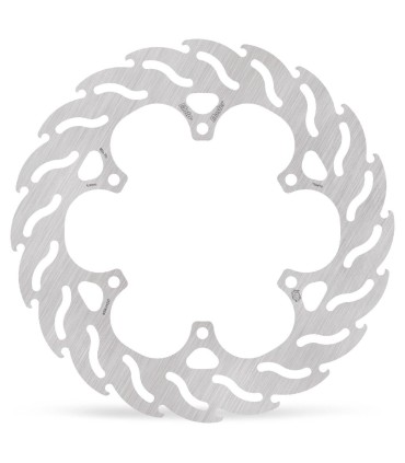 BRAKE DISC FLAME REAR