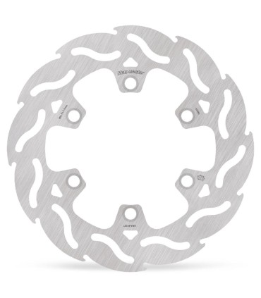 BRAKE DISC FLAME REAR