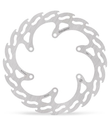 BRAKE DISC FLAME REAR