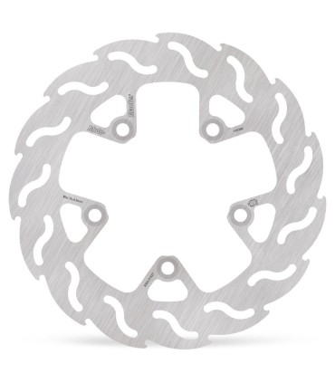 BRAKE DISC FLAME REAR