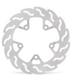 BRAKE DISC FLAME REAR