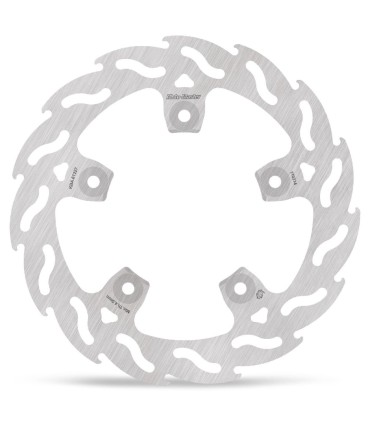 BRAKE DISC FLAME REAR