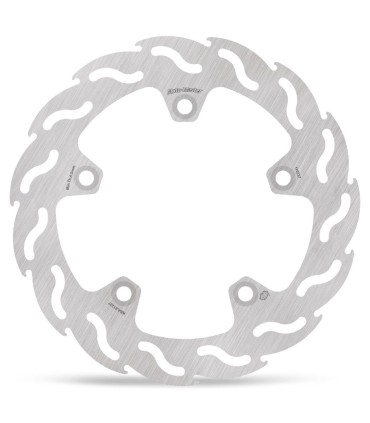 BRAKE DISC FLAME REAR