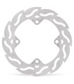 BRAKE DISC FLAME REAR