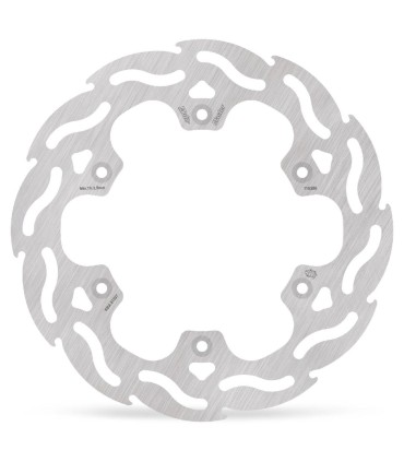 BRAKE DISC FLAME REAR