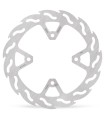 BRAKE DISC FLAME REAR
