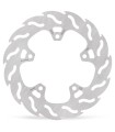 BRAKE DISC FLAME REAR