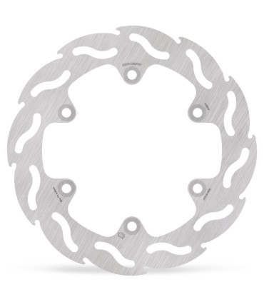BRAKE DISC FLAME REAR