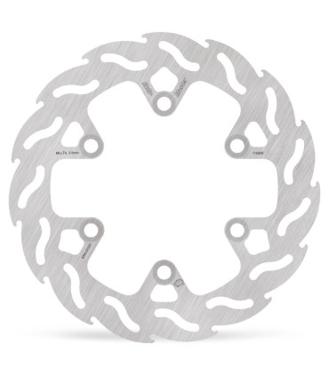 BRAKE DISC FLAME REAR