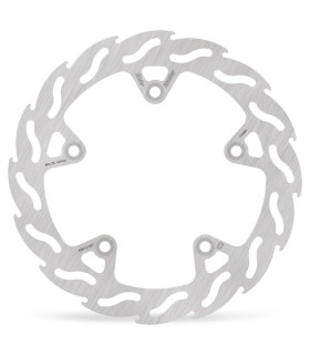 BRAKE DISC FLAME REAR