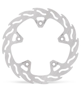 BRAKE DISC FLAME REAR