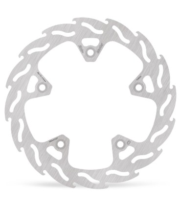 BRAKE DISC FLAME REAR