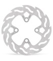 BRAKE DISC FLAME REAR
