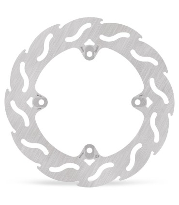 BRAKE DISC FLAME REAR