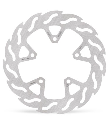 BRAKE DISC FLAME REAR