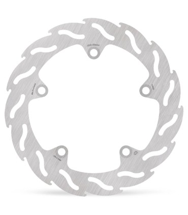 BRAKE DISC FLAME REAR