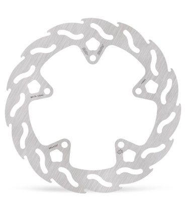 BRAKE DISC FLAME REAR