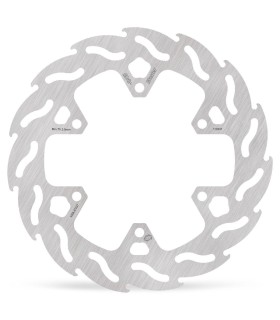 BRAKE DISC FLAME REAR