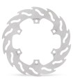 BRAKE DISC FLAME REAR