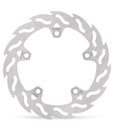BRAKE DISC FLAME REAR