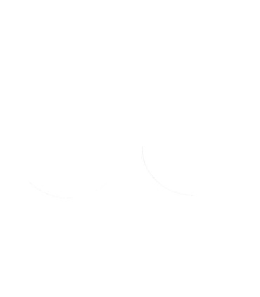 FORK SEAL RSD2 36X46X7/9