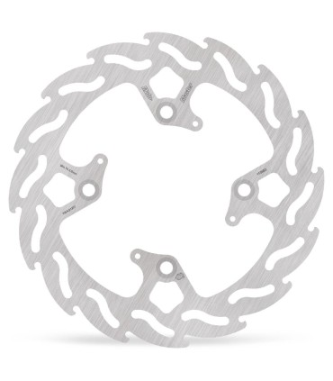 BRAKE DISC FLAME REAR