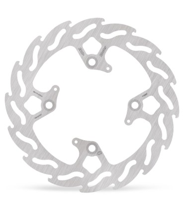 BRAKE DISC FLAME REAR